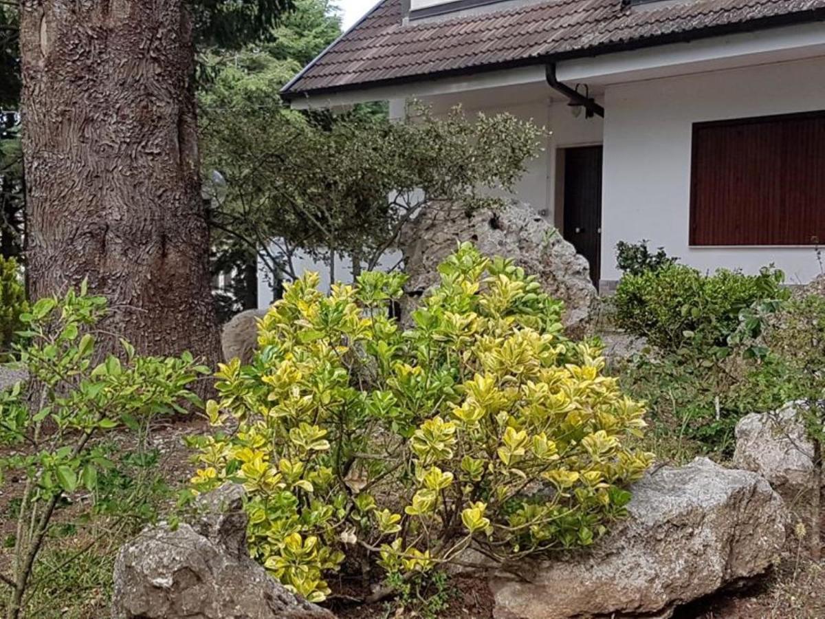 Le Conifere Pignola Exterior foto