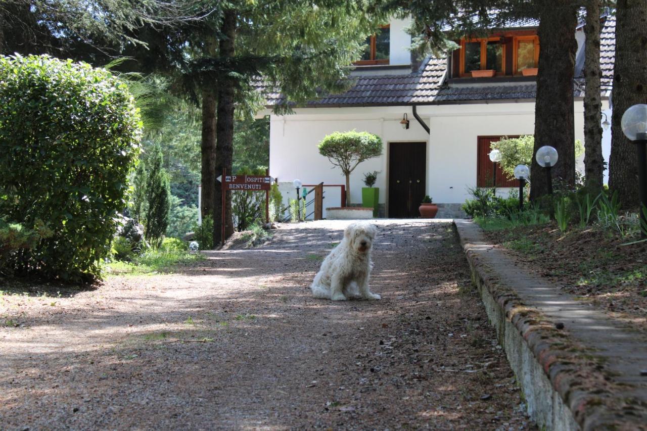 Le Conifere Pignola Exterior foto